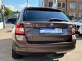 Skoda Fabia FABIA 1.4 TDI COMBI"COOL EDITION"5GANG*PDC*KLIMA Brun - thumbnail 12
