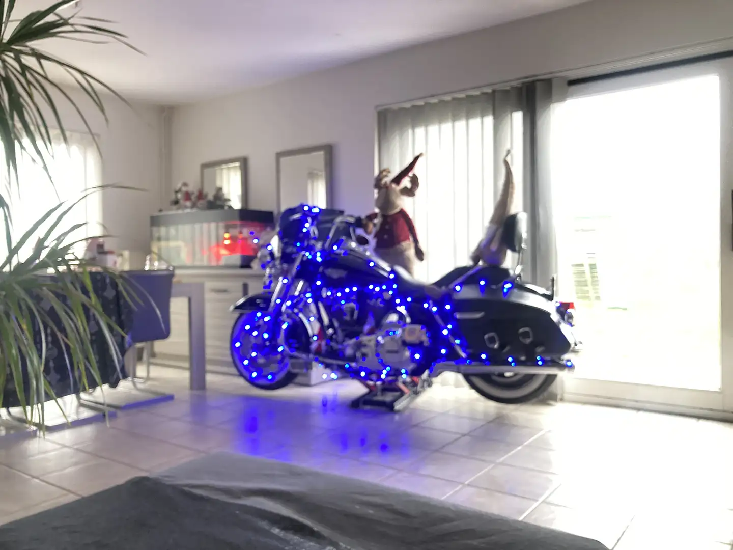 Harley-Davidson Road King - 1