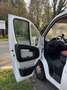 Fiat Ducato Onnicar White - thumbnail 13