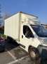 Fiat Ducato Onnicar White - thumbnail 3