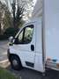 Fiat Ducato Onnicar White - thumbnail 10