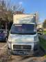 Fiat Ducato Onnicar White - thumbnail 2