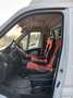 Fiat Ducato Onnicar White - thumbnail 11