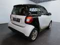 smart forTwo EQ  22KW SHZ Weiß - thumbnail 5