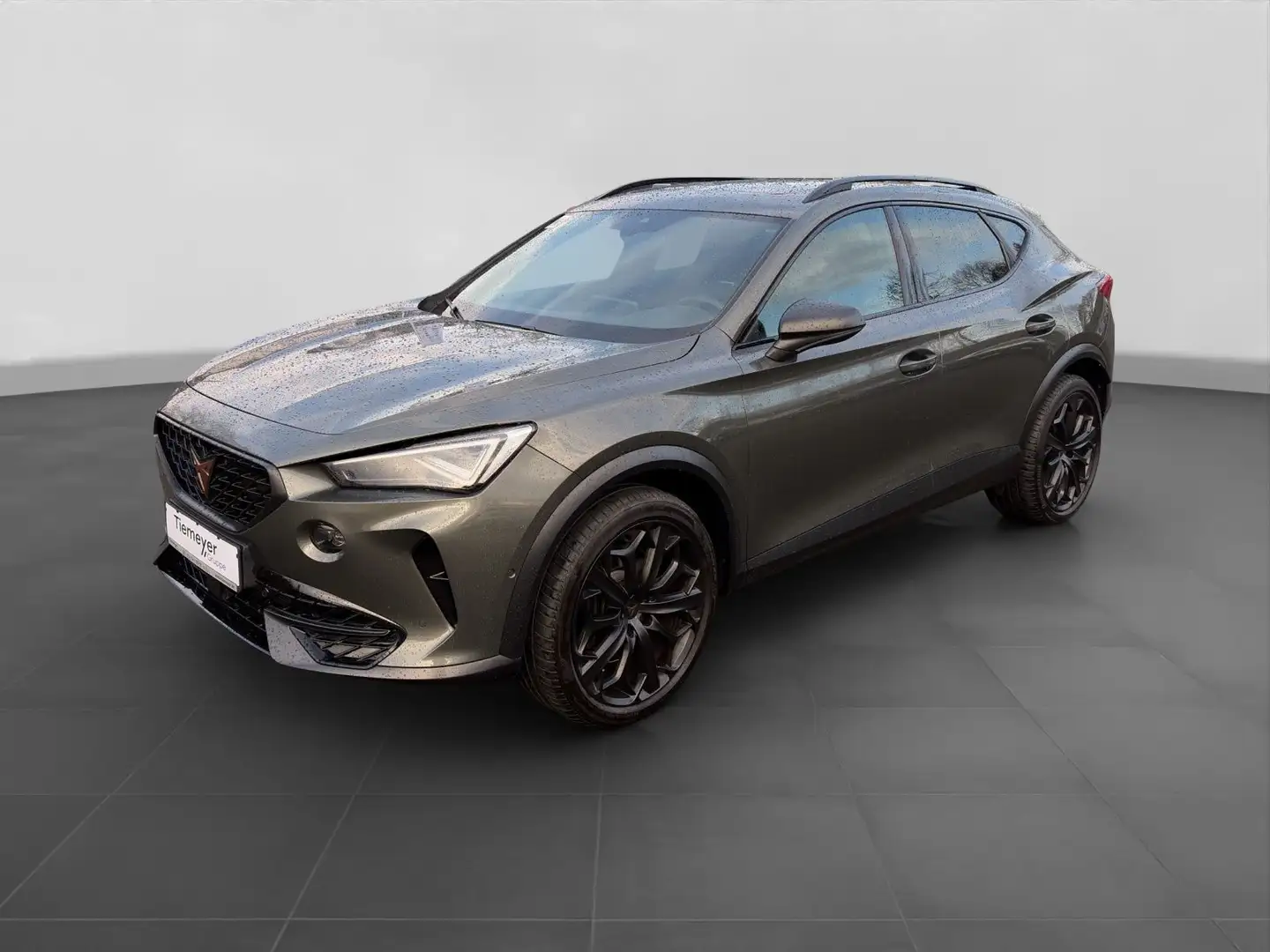 CUPRA Formentor 2.0 TSI DSG TRIBE EDITION MATRIX PANO Grau - 2