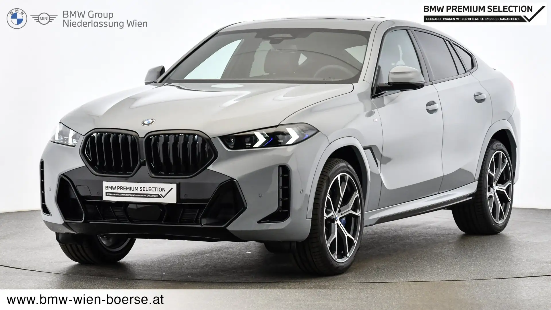 BMW X6 xDrive40i Grau - 1