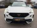 CUPRA Formentor e-HYBRID DSG Pano Navi LED Weiß - thumbnail 20