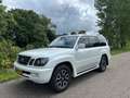Lexus LX 470 (Toyota Land Cruiser 100-Series) 8 Persoons Benzin Blanc - thumbnail 2
