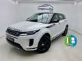 Land Rover Range Rover Evoque 2.0D MHEV S AWD Aut. 150 Blanco - thumbnail 2
