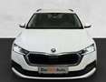 Skoda Octavia 4x4 Ambition TDI DSG Bianco - thumbnail 4