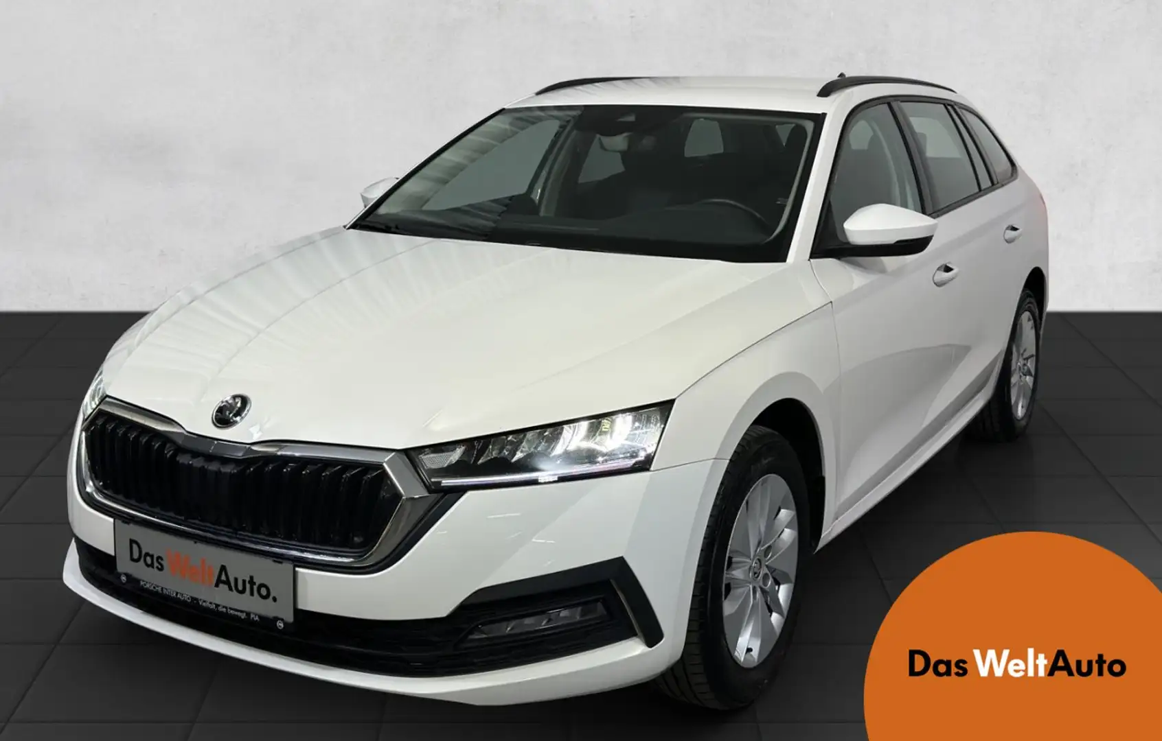Skoda Octavia 4x4 Ambition TDI DSG Bianco - 1