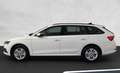 Skoda Octavia 4x4 Ambition TDI DSG Bianco - thumbnail 2