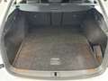 Skoda Octavia 4x4 Ambition TDI DSG Bianco - thumbnail 12