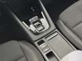 Skoda Octavia 4x4 Ambition TDI DSG Bianco - thumbnail 10