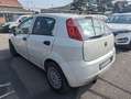 Fiat Punto Evo 1.3 Mjt 75 CV DPF 5 porte *Commercianti* bijela - thumbnail 4