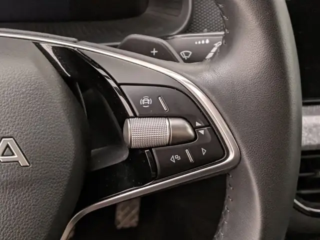 Skoda Kamiq view 11