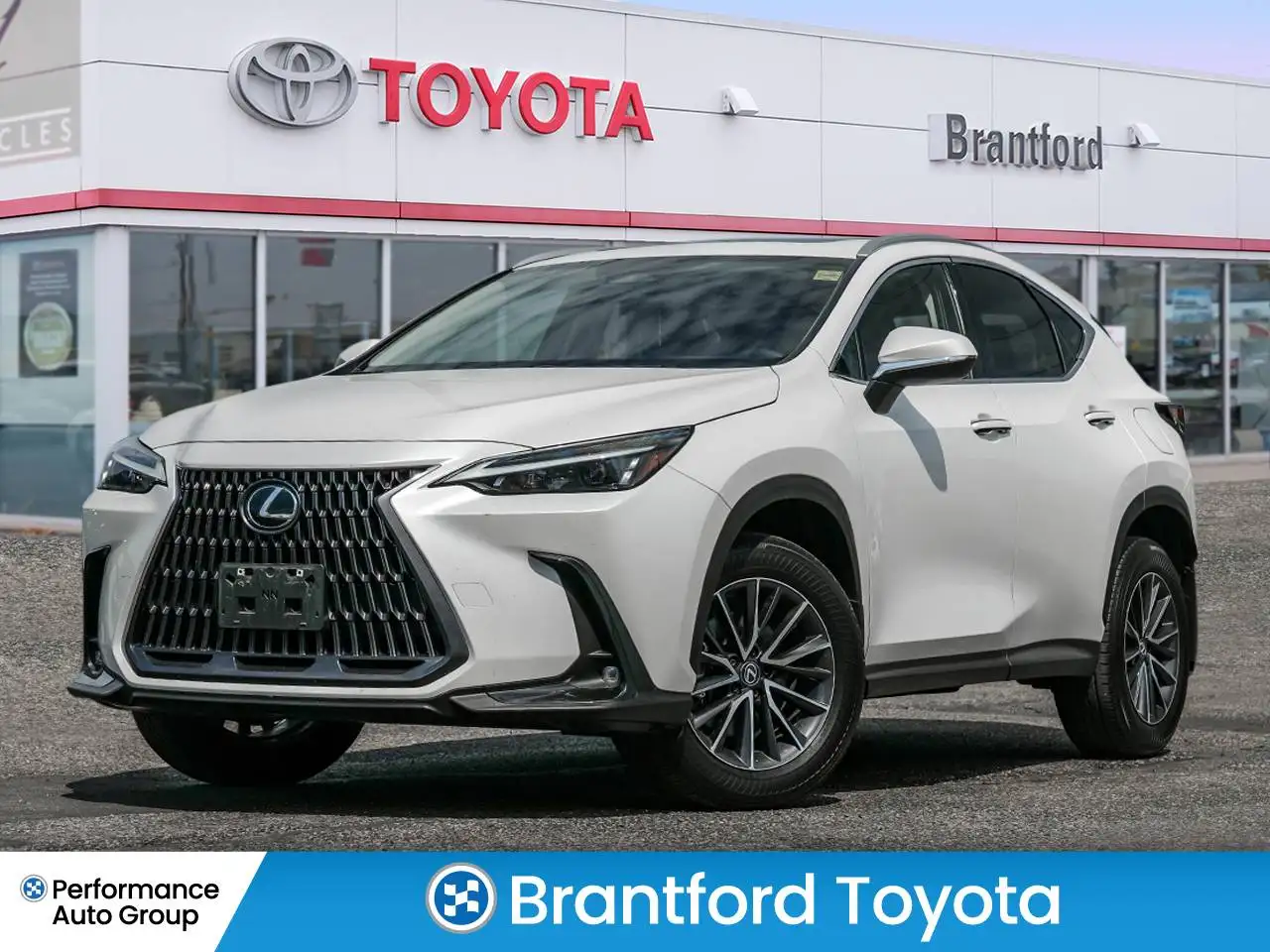 2024 Lexus NX