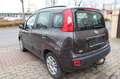 Fiat Panda My Panda|UNFALLSCHADEN| Marrone - thumbnail 5