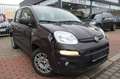 Fiat Panda My Panda|UNFALLSCHADEN| Marrone - thumbnail 3