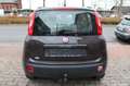 Fiat Panda My Panda|UNFALLSCHADEN| Marrone - thumbnail 6