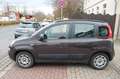 Fiat Panda My Panda|UNFALLSCHADEN| Marrone - thumbnail 9