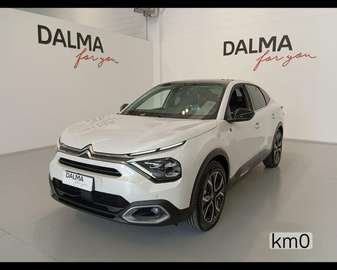 X Shine 100kW