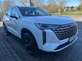 GWM HAVAL H6 Hybrid PREMIUM *sofort verfügbar* Blanco - thumbnail 8