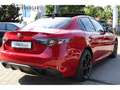 Alfa Romeo Giulia Intensa Q4 2.0 Turbo 16V EU6e AD Panorama Navi Led Rot - thumbnail 12