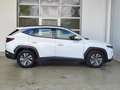 Hyundai TUCSON 1.6 CRDi Select Mild-Hybrid 2WD AHK|LED|Navi|RFK Weiß - thumbnail 25