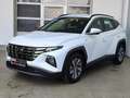 Hyundai TUCSON 1.6 CRDi Select Mild-Hybrid 2WD AHK|LED|Navi|RFK Weiß - thumbnail 2