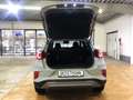 Ford Puma 1.0 EcoBoost Hybrid Aut. TITANIUM schwarzes Dach Grau - thumbnail 15