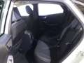 Ford Puma 1.0 EcoBoost Hybrid Aut. TITANIUM schwarzes Dach Grau - thumbnail 12