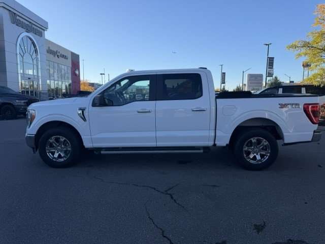 used 2022 Ford F-150 car