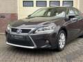 Lexus CT 200h Business Line Dealer ondh. | 1ste eigenaar | Facel Brun - thumbnail 12