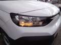 Citroen Berlingo KW M BHDi 100 EUR 17.990,- excl. Mwst. Blanc - thumbnail 9