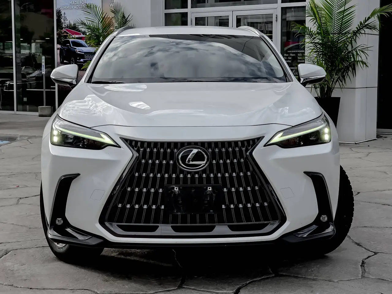 Lexus NX снимка Lexus NX