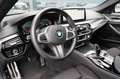 BMW 530 d M Sport LC Prof-Laser-HuD-GSD-RFK-ACC Grigio - thumbnail 9