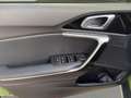 Kia XCeed 1.0 T-GDi GPL Business 117CV Vert - thumbnail 19