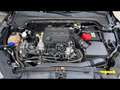 Ford Focus 5 Porte 1.0 EcoBoost 125cv ST-Line Co-pilot Nero - thumbnail 15