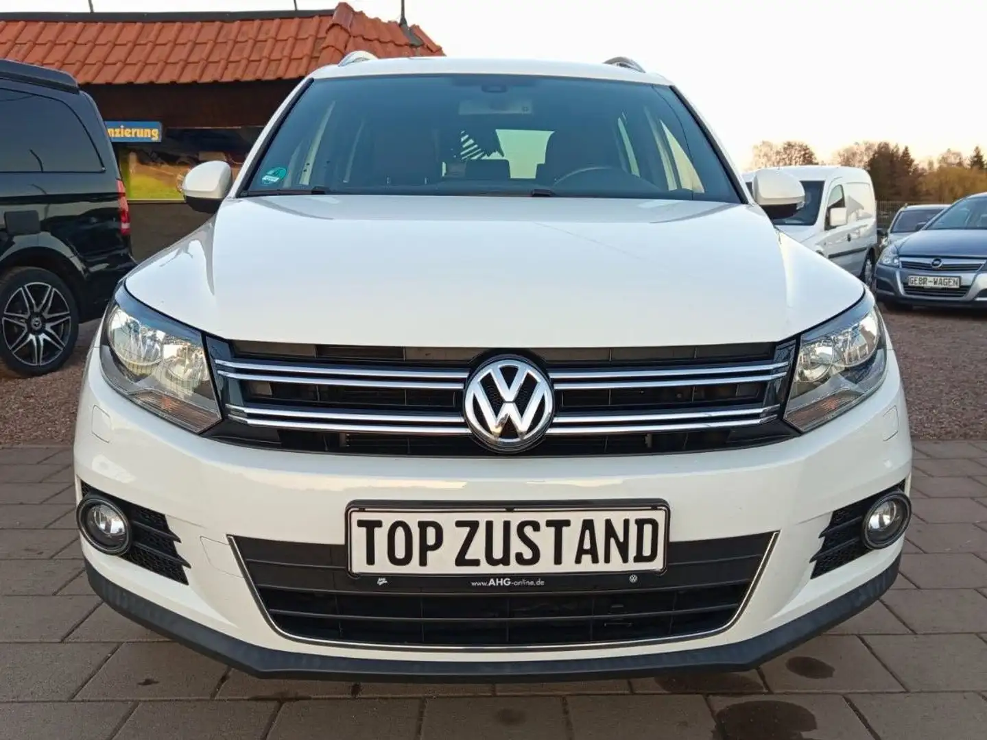 Volkswagen Tiguan Navi,Kamera,AHK,nur 80 tkm,1.Hand Alb - 1