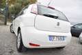 Fiat Punto AUTOMATICA 1.4 77CV BT CERCHI BIZONA OK NEOPATENTA Blanc - thumbnail 4