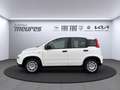 Fiat Panda PANDINA Hybrid 70 PS, Gelato Weiß, Klima, 5-Sitzer Weiß - thumbnail 2