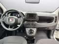 Fiat Panda PANDINA Hybrid 70 PS, Gelato Weiß, Klima, 5-Sitzer Weiß - thumbnail 9