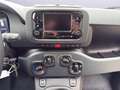 Fiat Panda PANDINA Hybrid 70 PS, Gelato Weiß, Klima, 5-Sitzer Weiß - thumbnail 11