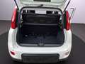 Fiat Panda PANDINA Hybrid 70 PS, Gelato Weiß, Klima, 5-Sitzer Weiß - thumbnail 15