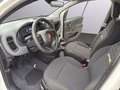 Fiat Panda PANDINA Hybrid 70 PS, Gelato Weiß, Klima, 5-Sitzer Weiß - thumbnail 17