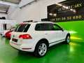 Volkswagen Touareg 3.0 TDI 245CV tiptronic BlueMotion Techn Executive Bianco - thumbnail 6