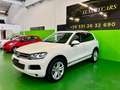 Volkswagen Touareg 3.0 TDI 245CV tiptronic BlueMotion Techn Executive Bianco - thumbnail 5