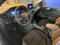 Ford Kuga ST-LINE PHEV NAVI / PDC / KAMERA / WINTER-PAKET Bleu - thumbnail 10