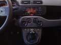 Fiat Panda 1.0 Hybrid City Cross Blu/Azzurro - thumbnail 11